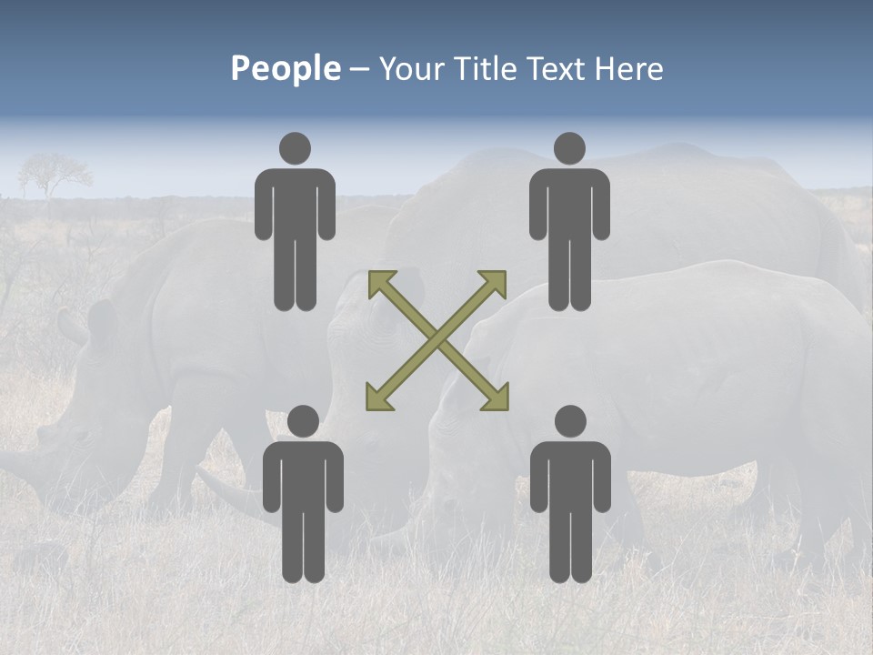 Outdoors Safari Walk PowerPoint Template