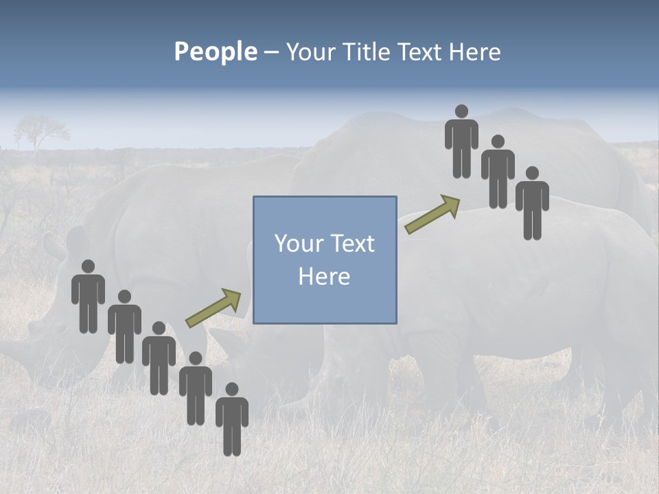 Outdoors Safari Walk PowerPoint Template