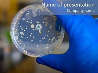 Germs Experimental Medicine PowerPoint Template