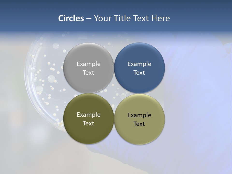 Germs Experimental Medicine PowerPoint Template