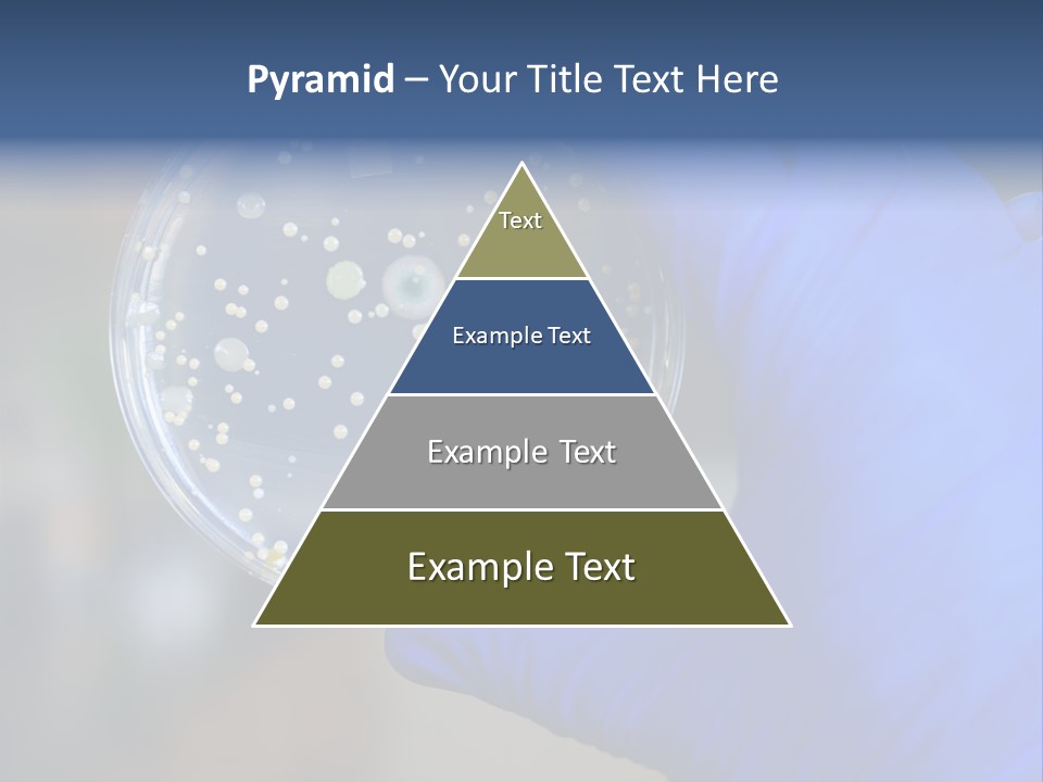 Germs Experimental Medicine PowerPoint Template
