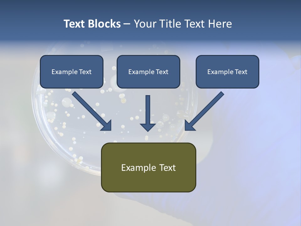 Germs Experimental Medicine PowerPoint Template