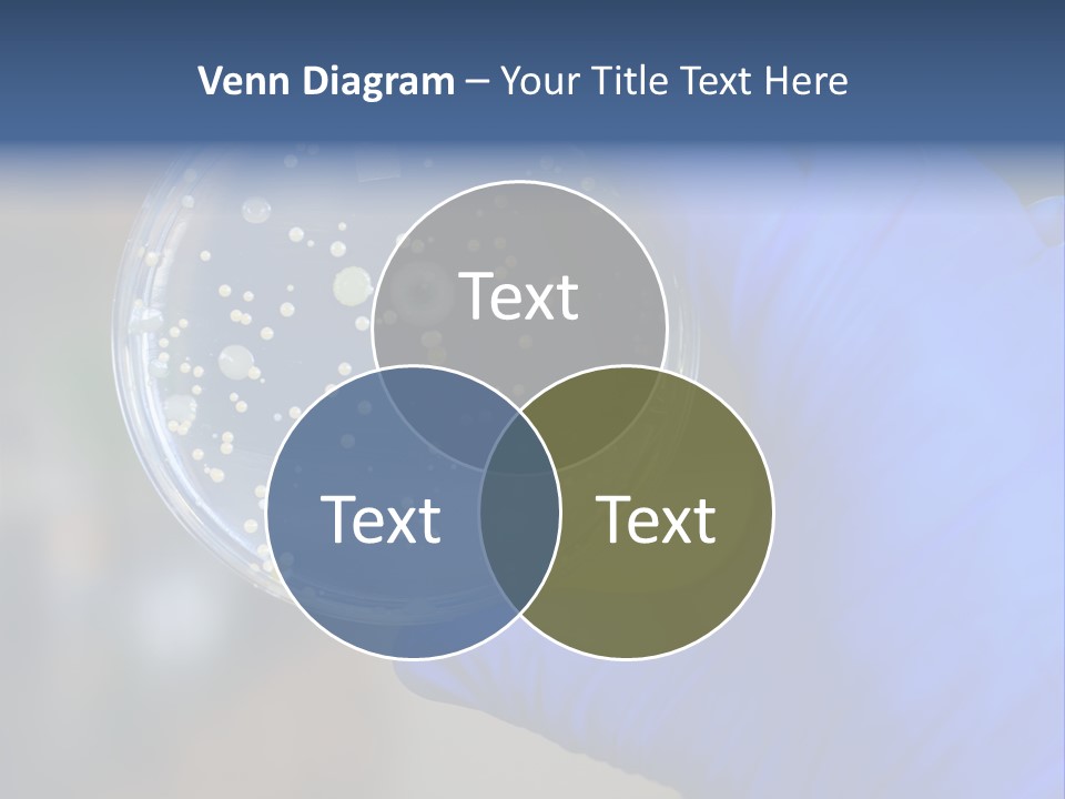 Germs Experimental Medicine PowerPoint Template