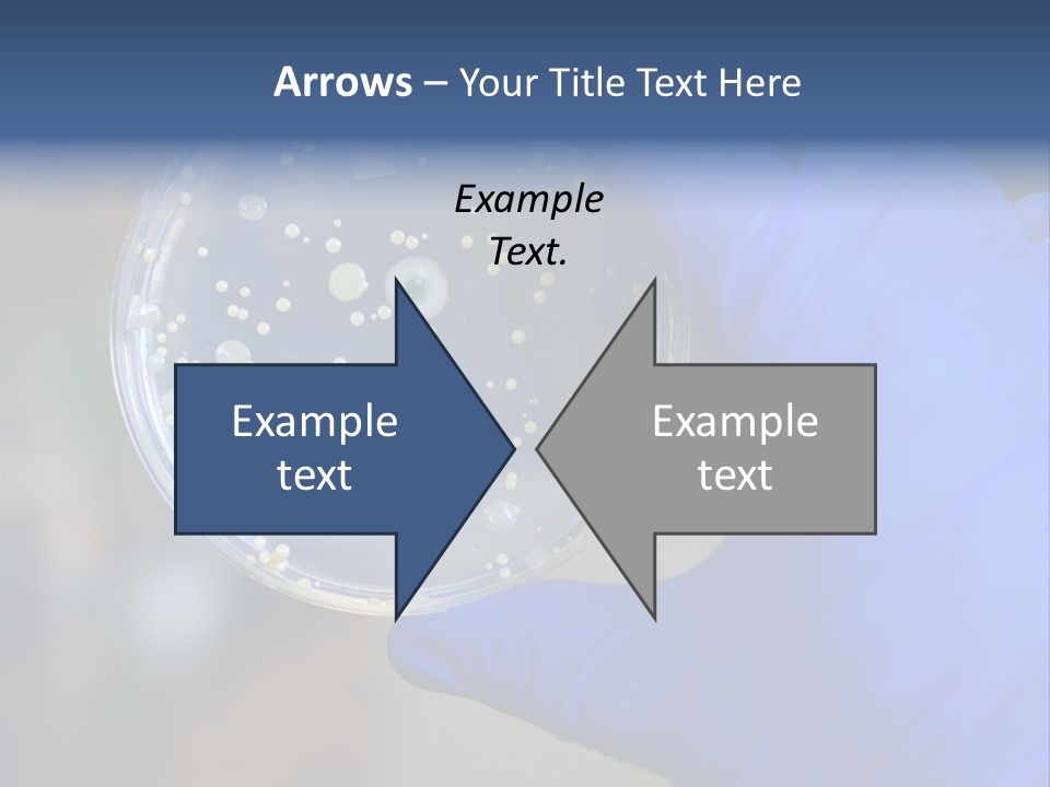 Germs Experimental Medicine PowerPoint Template