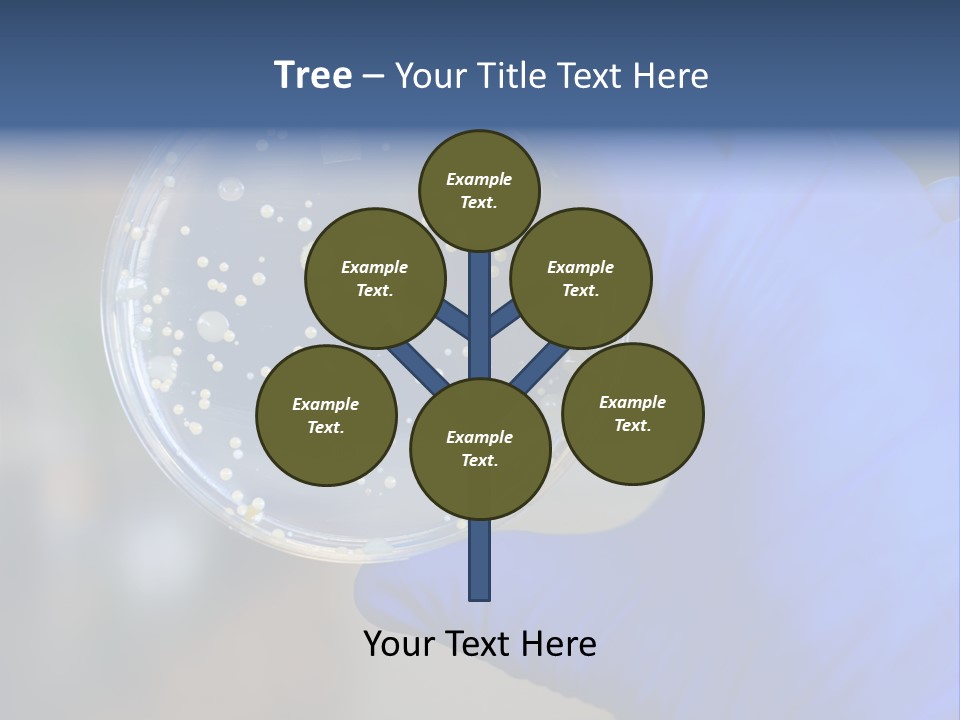 Germs Experimental Medicine PowerPoint Template