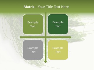 Cure Herb Image PowerPoint Template