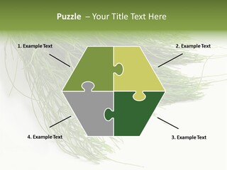 Cure Herb Image PowerPoint Template