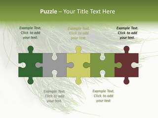 Cure Herb Image PowerPoint Template