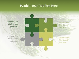 Cure Herb Image PowerPoint Template