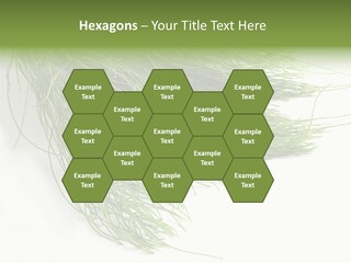 Cure Herb Image PowerPoint Template