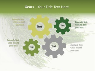 Cure Herb Image PowerPoint Template