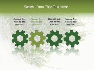 Cure Herb Image PowerPoint Template