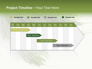 Cure Herb Image PowerPoint Template