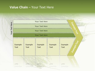 Cure Herb Image PowerPoint Template