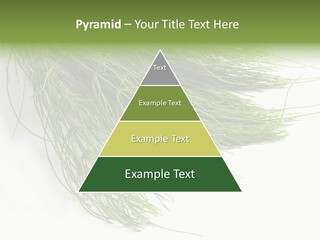 Cure Herb Image PowerPoint Template