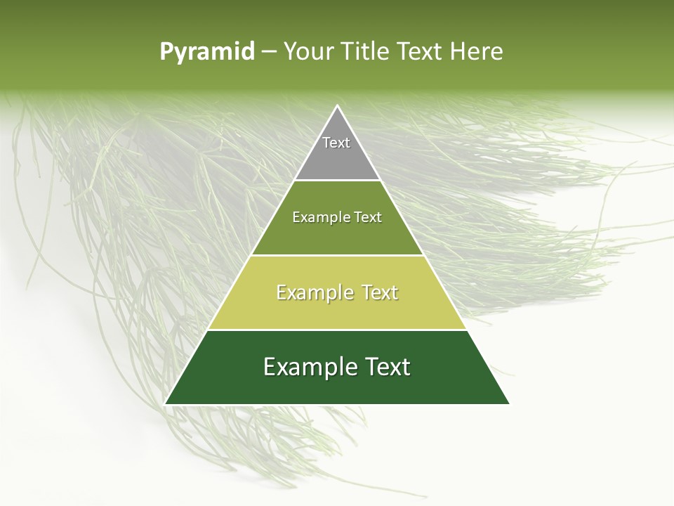 Cure Herb Image PowerPoint Template