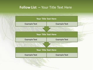 Cure Herb Image PowerPoint Template