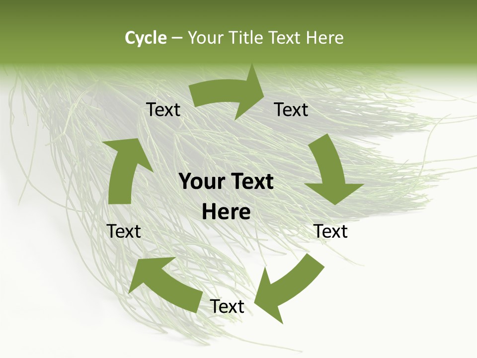 Cure Herb Image PowerPoint Template