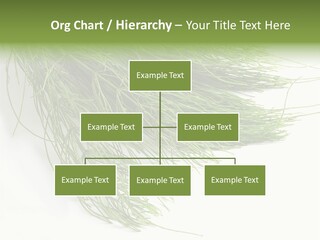 Cure Herb Image PowerPoint Template