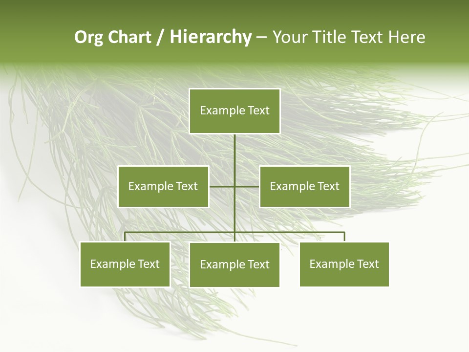 Cure Herb Image PowerPoint Template