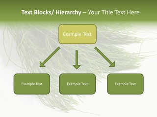 Cure Herb Image PowerPoint Template