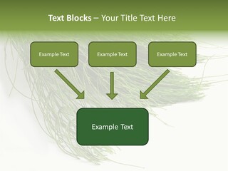 Cure Herb Image PowerPoint Template