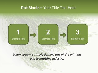 Cure Herb Image PowerPoint Template