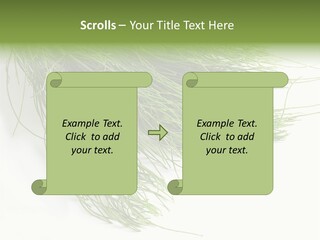 Cure Herb Image PowerPoint Template