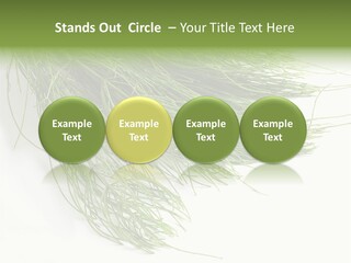 Cure Herb Image PowerPoint Template