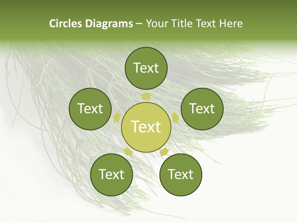 Cure Herb Image PowerPoint Template