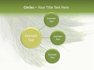 Cure Herb Image PowerPoint Template