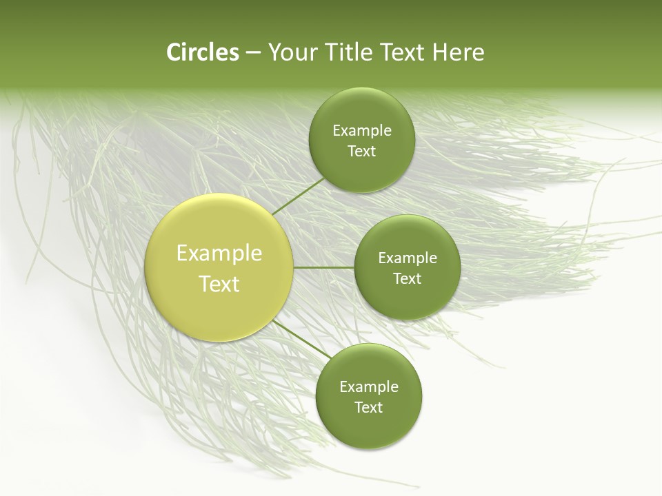 Cure Herb Image PowerPoint Template