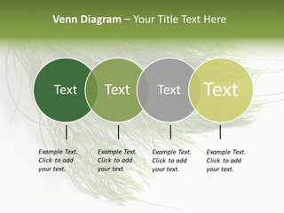 Cure Herb Image PowerPoint Template