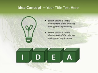 Cure Herb Image PowerPoint Template