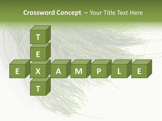 Cure Herb Image PowerPoint Template