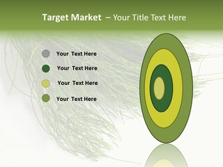 Cure Herb Image PowerPoint Template