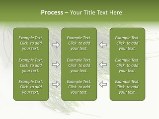 Cure Herb Image PowerPoint Template