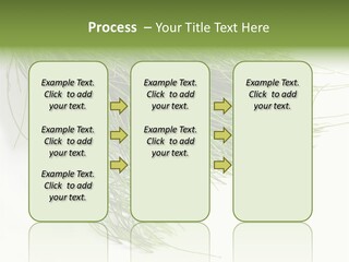 Cure Herb Image PowerPoint Template