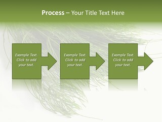Cure Herb Image PowerPoint Template