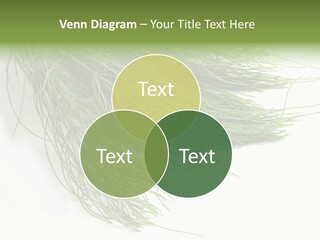 Cure Herb Image PowerPoint Template