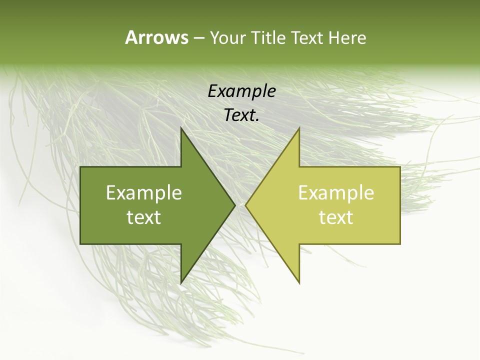 Cure Herb Image PowerPoint Template