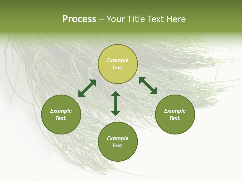 Cure Herb Image PowerPoint Template