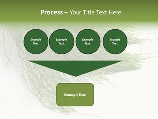 Cure Herb Image PowerPoint Template
