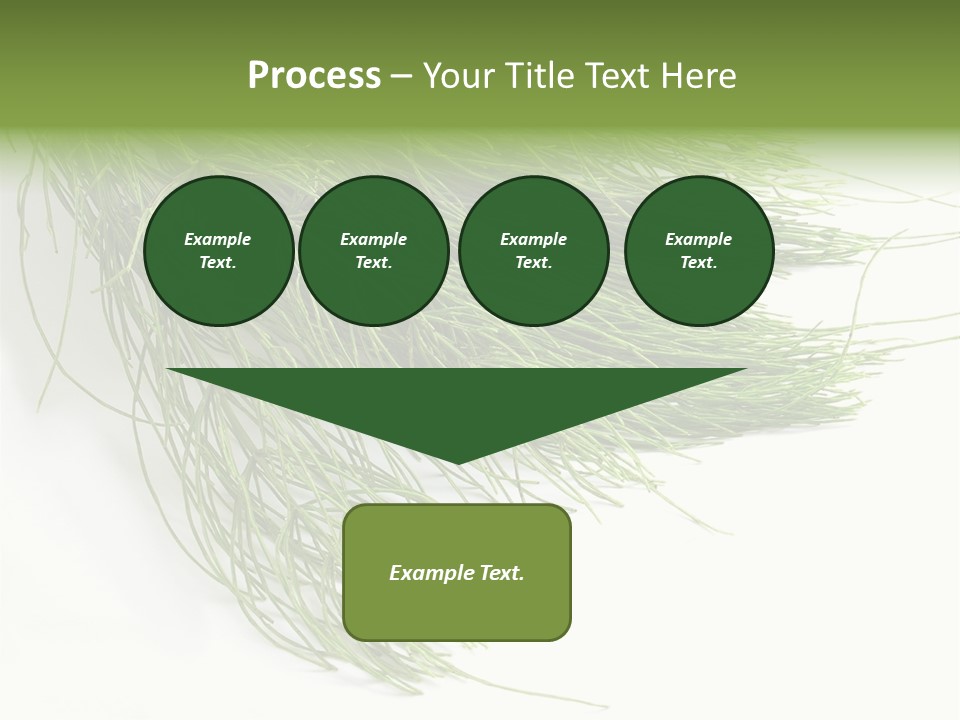 Cure Herb Image PowerPoint Template