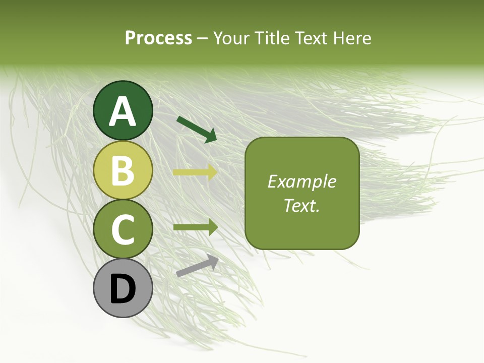 Cure Herb Image PowerPoint Template