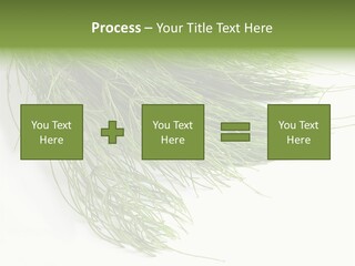 Cure Herb Image PowerPoint Template