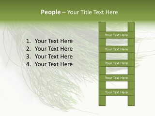 Cure Herb Image PowerPoint Template