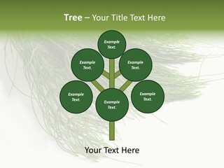 Cure Herb Image PowerPoint Template