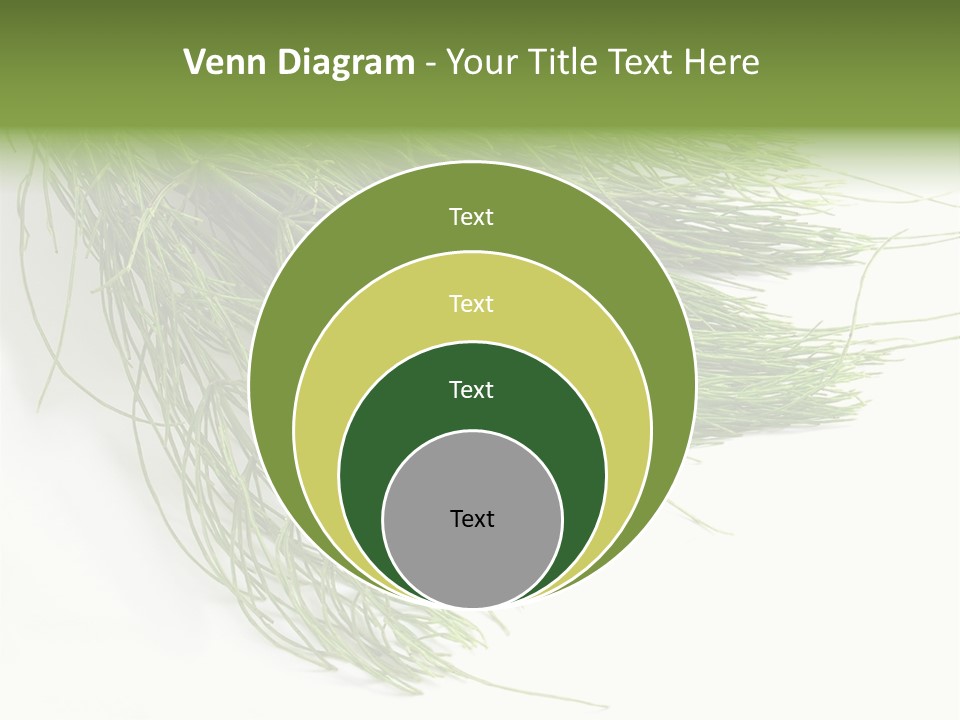 Cure Herb Image PowerPoint Template