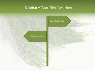 Cure Herb Image PowerPoint Template